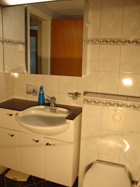 Studio Elsighorn Apartment Frutigen Ruang foto
